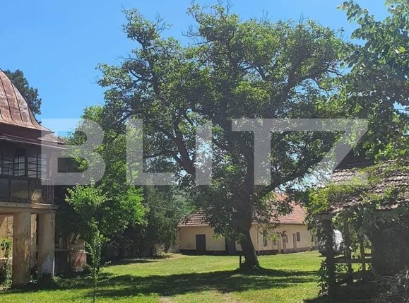 Casa de vânzare 12 camere Paulis - 161652CV | BLITZ Arad | Poza1