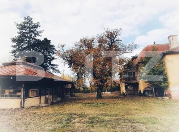 Casa de vânzare 12 camere Paulis - 161652CV | BLITZ Arad | Poza2