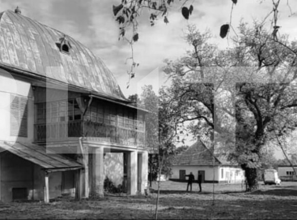 Casa de vânzare 12 camere Paulis - 161652CV | BLITZ Arad | Poza3