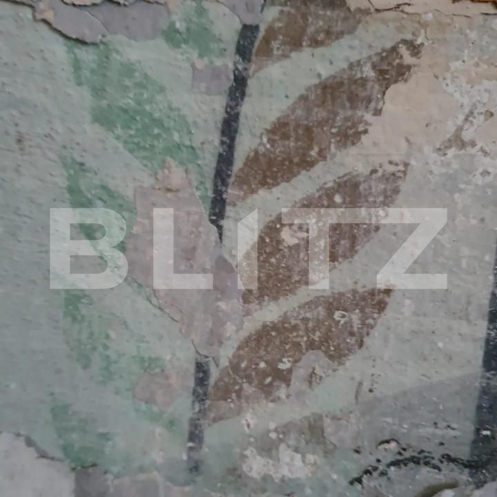 Casa de vânzare 12 camere Paulis - 161652CV | BLITZ Arad | Poza4