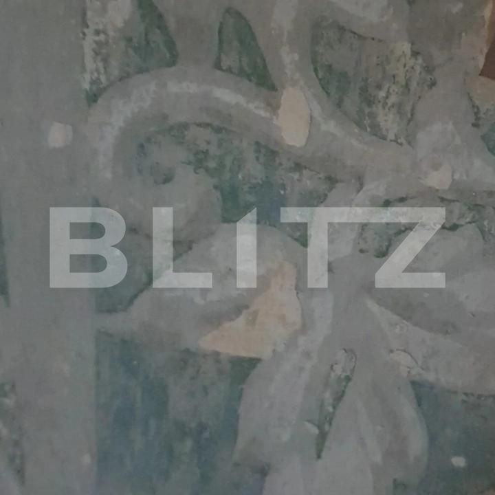 Casa de vânzare 12 camere Paulis - 161652CV | BLITZ Arad | Poza7