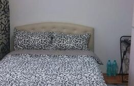 Apartament 3 camere cu centrala proprie 