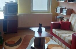 Vand casa cu etaj si 2 spatii de inchiriat in Chisineu Cris 