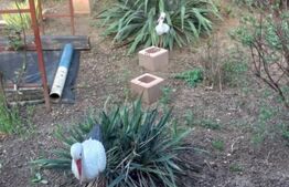 Vand casa cu etaj si 2 spatii de inchiriat in Chisineu Cris 