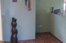 Vand casa cu etaj si 2 spatii de inchiriat in Chisineu Cris 