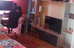 Vand casa cu etaj si 2 spatii de inchiriat in Chisineu Cris 