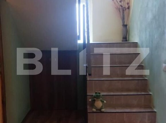 Casa de vânzare 4 camere Chisineu-Cris - 168573CV | BLITZ Arad | Poza5