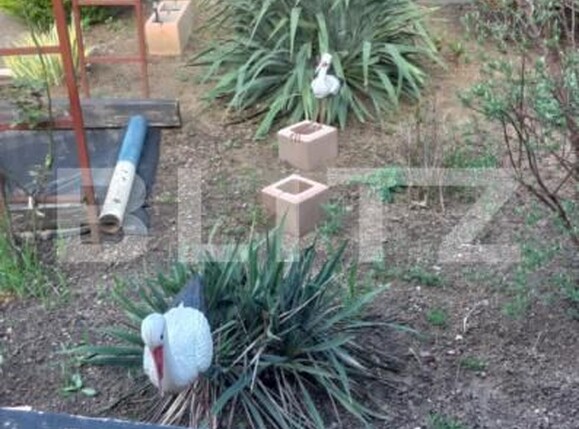 Casa de vânzare 4 camere Chisineu-Cris - 168573CV | BLITZ Arad | Poza24