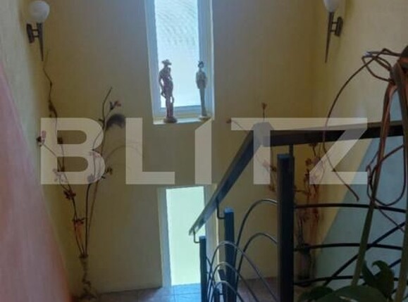 Casa de vânzare 4 camere Chisineu-Cris - 168573CV | BLITZ Arad | Poza19