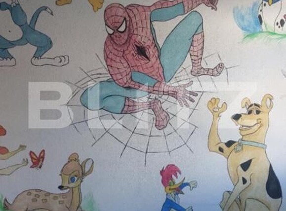 Casa de vânzare 4 camere Chisineu-Cris - 168573CV | BLITZ Arad | Poza14