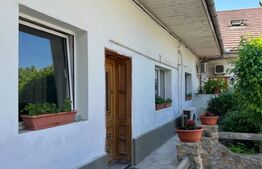 Apartament la casa, de vanzare, cu 3 camere, 120 mp, zona centrala