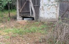 Blitz va ofera spre vânzare o casa cu teren generos în Cermei 