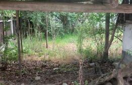 Blitz va ofera spre vânzare o casa cu teren generos în Cermei 