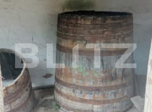 Casa de vânzare 3 camere Cermei - 169465CV | BLITZ Arad | Poza9