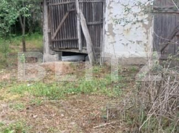 Casa de vânzare 3 camere Cermei - 169465CV | BLITZ Arad | Poza6