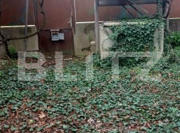 Casa de vânzare 3 camere Cermei - 169465CV | BLITZ Arad | Poza3