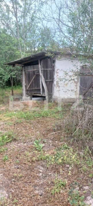 Casa de vânzare 3 camere Cermei - 169465CV | BLITZ Arad | Poza6