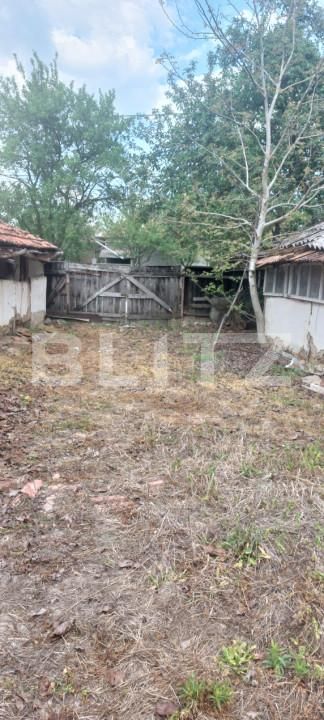 Casa de vânzare 3 camere Cermei - 169465CV | BLITZ Arad | Poza5