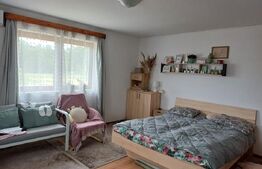 Blitz Arad va ofera spre vanzare casa superba in Loc. Varfurile Jud. Arad