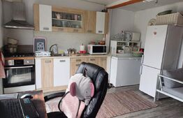 Blitz Arad va ofera spre vanzare casa superba in Loc. Varfurile Jud. Arad