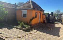 Blitz va ofera spre vanzare casa in Covăsânț