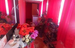 Blitz va ofera spre vanzare casa in Covăsânț