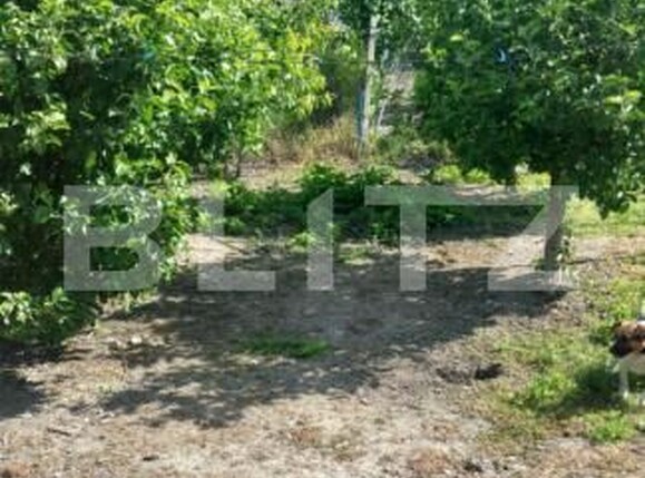 Casa de vânzare 2 camere Covasint - 170460CV | BLITZ Arad | Poza15