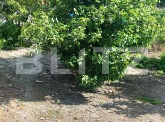 Casa de vânzare 2 camere Covasint - 170460CV | BLITZ Arad | Poza13