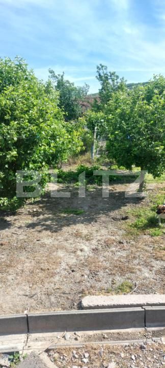 Casa de vânzare 2 camere Covasint - 170460CV | BLITZ Arad | Poza15