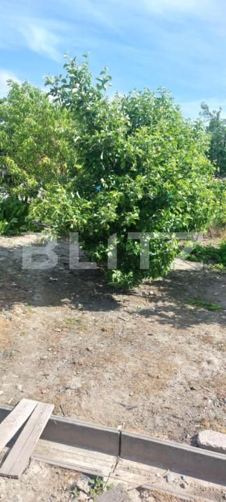 Casa de vânzare 2 camere Covasint - 170460CV | BLITZ Arad | Poza13