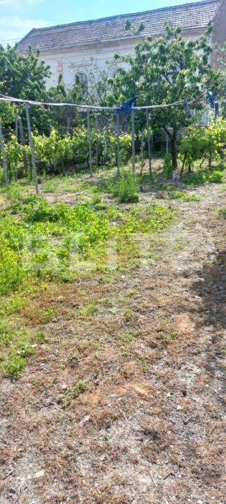 Casa de vânzare 2 camere Covasint - 170460CV | BLITZ Arad | Poza14