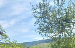 Blitz va ofera spre vanzare casa cu teren generos in Covăsânț