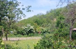 Blitz va ofera spre vanzare casa cu teren generos in Covăsânț