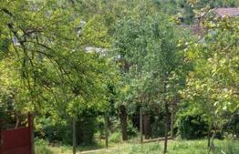 Blitz va ofera spre vanzare casa cu teren generos in Covăsânț