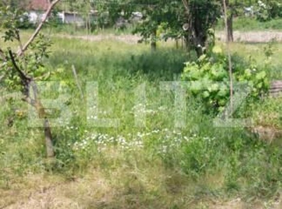 Casa de vânzare 3 camere Covasint - 170511CV | BLITZ Arad | Poza7