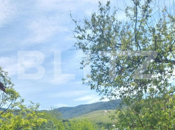 Casa de vânzare 3 camere Covasint - 170511CV | BLITZ Arad | Poza3