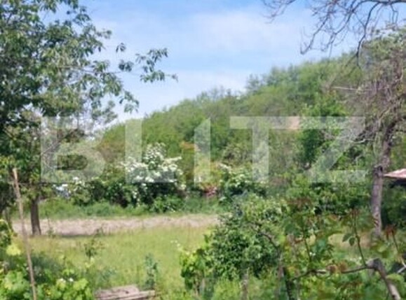 Casa de vânzare 3 camere Covasint - 170511CV | BLITZ Arad | Poza4