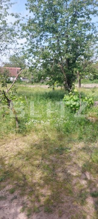 Casa de vânzare 3 camere Covasint - 170511CV | BLITZ Arad | Poza6