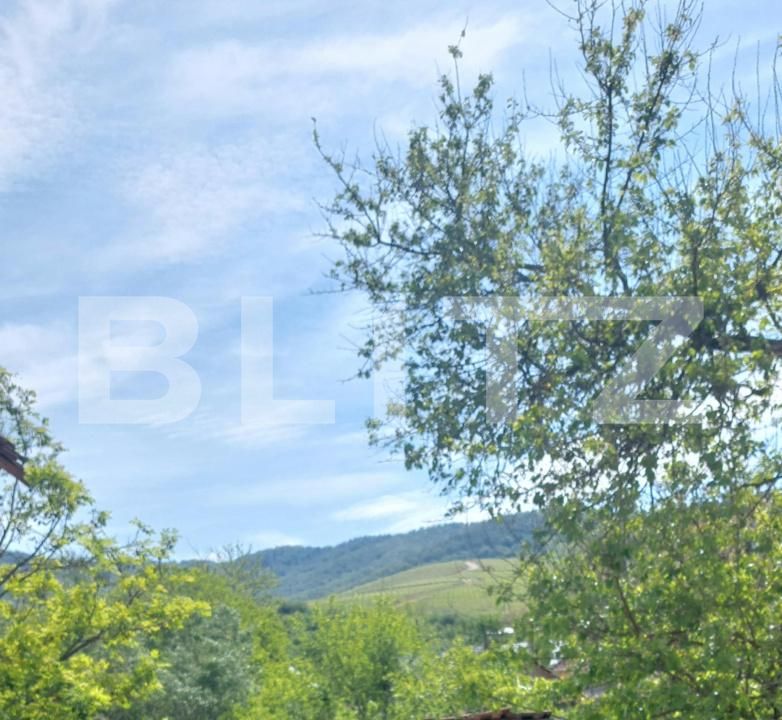 Casa de vânzare 3 camere Covasint - 170511CV | BLITZ Arad | Poza3