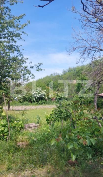 Casa de vânzare 3 camere Covasint - 170511CV | BLITZ Arad | Poza4