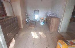 Blitz va ofera spre vanzare casa in Vladimirescu