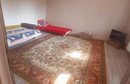 Blitz va ofera spre vanzare casa in Vladimirescu