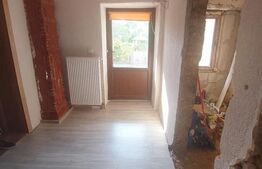 Blitz va ofera spre vanzare casa in Vladimirescu