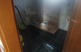 Blitz va ofera spre vanzare casa in Vladimirescu