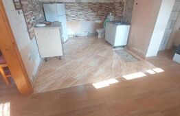 Blitz va ofera spre vanzare casa in Vladimirescu