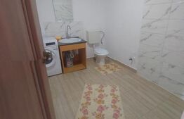 Blitz va ofera spre vanzare casa in Vladimirescu