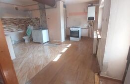 Blitz va ofera spre vanzare casa in Vladimirescu