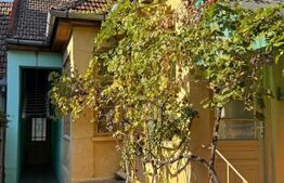 Casă de vânzare în centrul Pâncota cu magazin și dependințe.