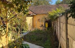 Casă de vânzare în centrul Pâncota cu magazin și dependințe.