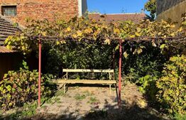 Casă de vânzare în centrul Pâncota cu magazin și dependințe.